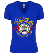 Load image into Gallery viewer, SEPTEMBER GEAR: LADIES V-NECK (45)
